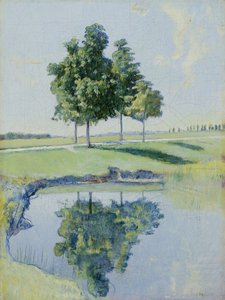 Alberi di castagno